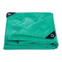 Feilun China PE tarpaulin factory price water-proof light green PE tarpaulin