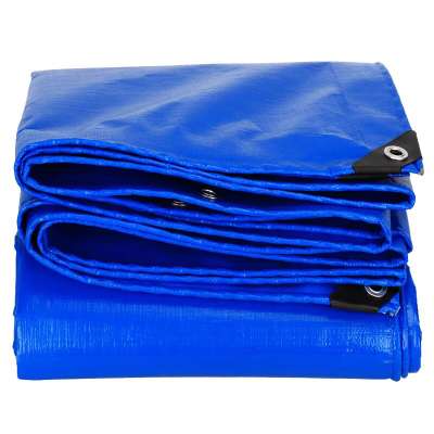 Feilun China PE tarpaulin factory price water-proof double blue  PE tarpaulin