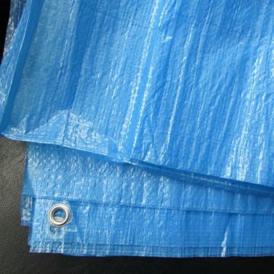 Ground Cover PP Fabric for Road